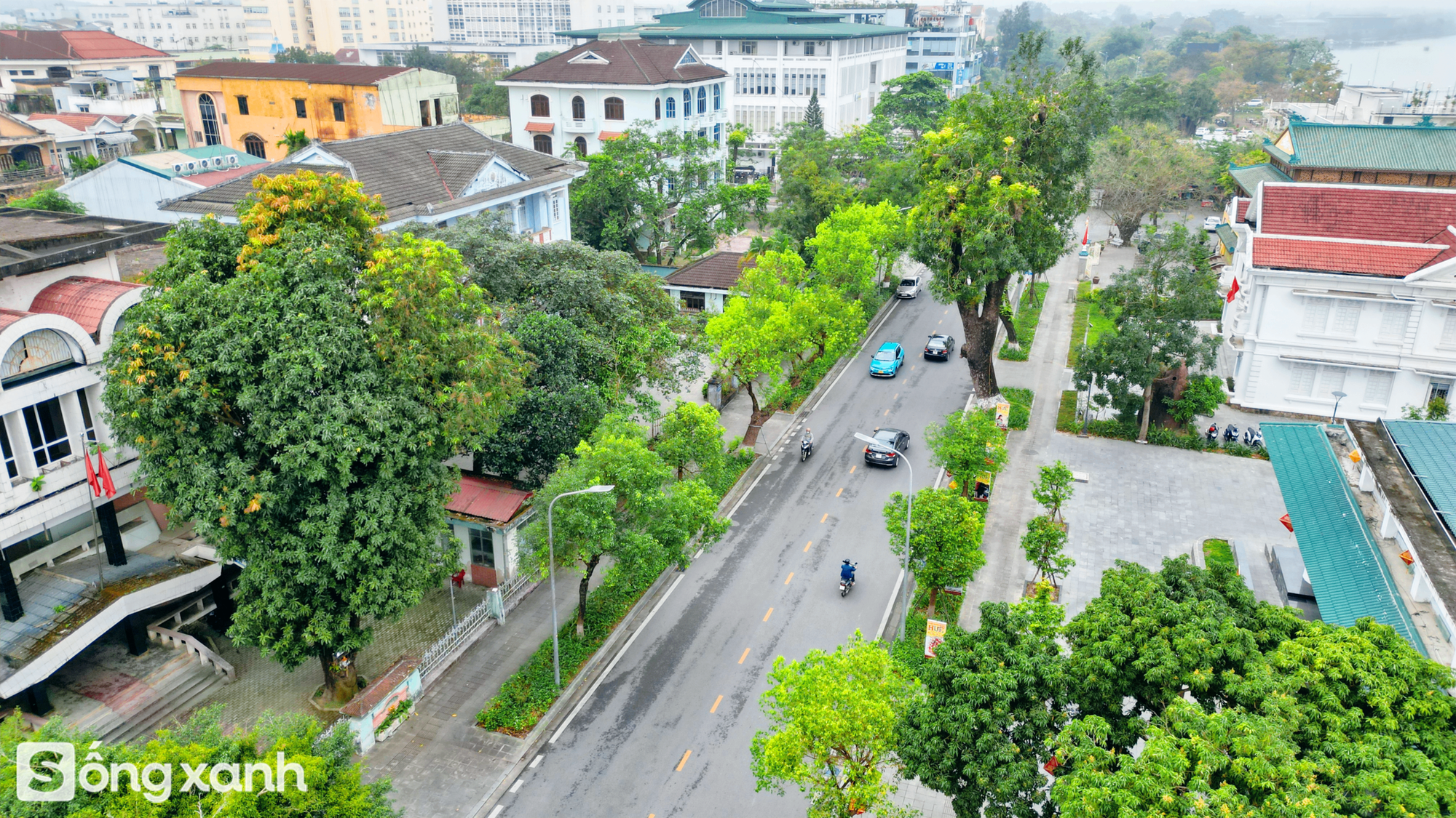 Ngắm TP xanh đầu tiên của Việt Nam được quốc tế vinh danh cùng Thâm Quyến và Singapore- Ảnh 8.