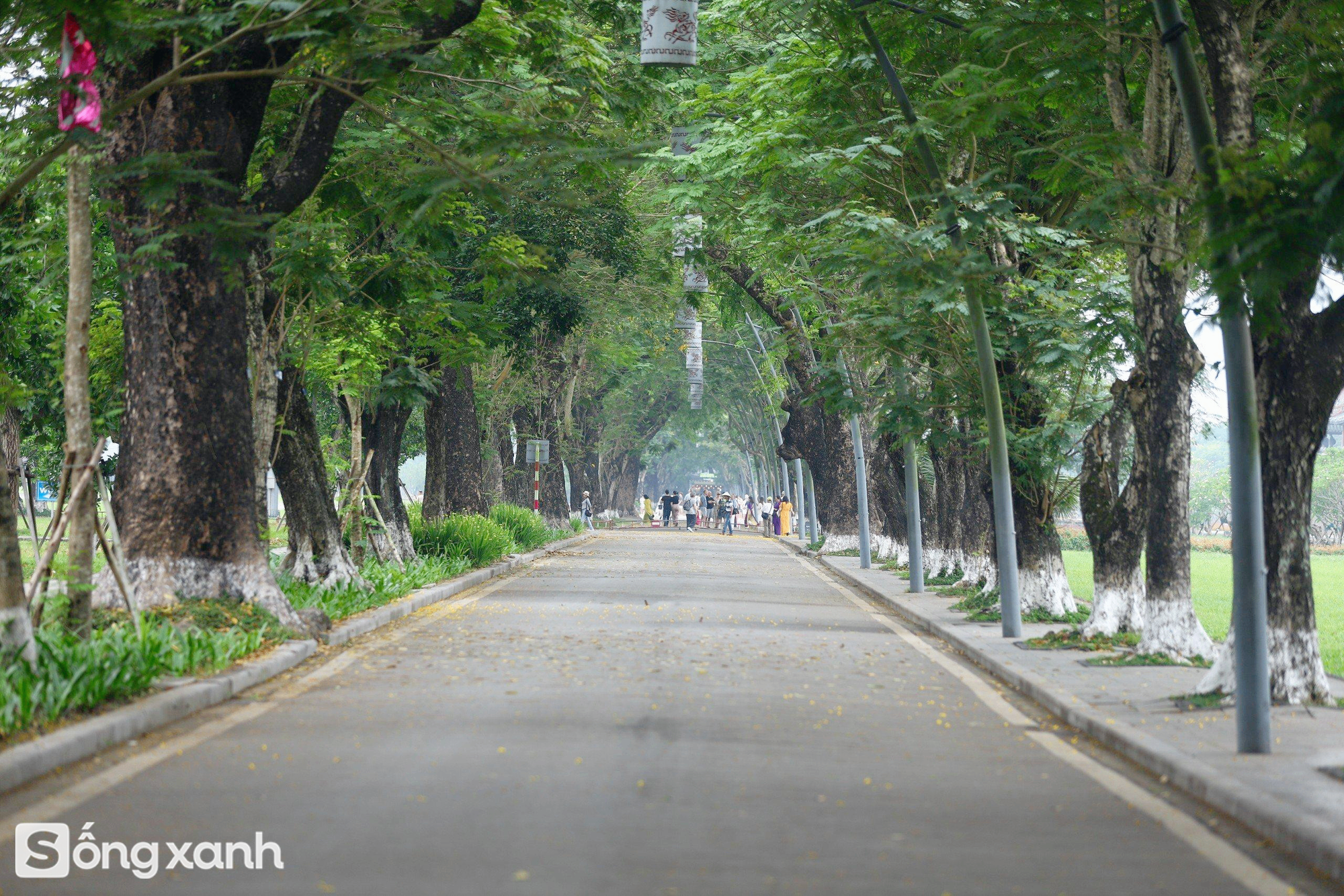 Ngắm TP xanh đầu tiên của Việt Nam được quốc tế vinh danh cùng Thâm Quyến và Singapore- Ảnh 17.
