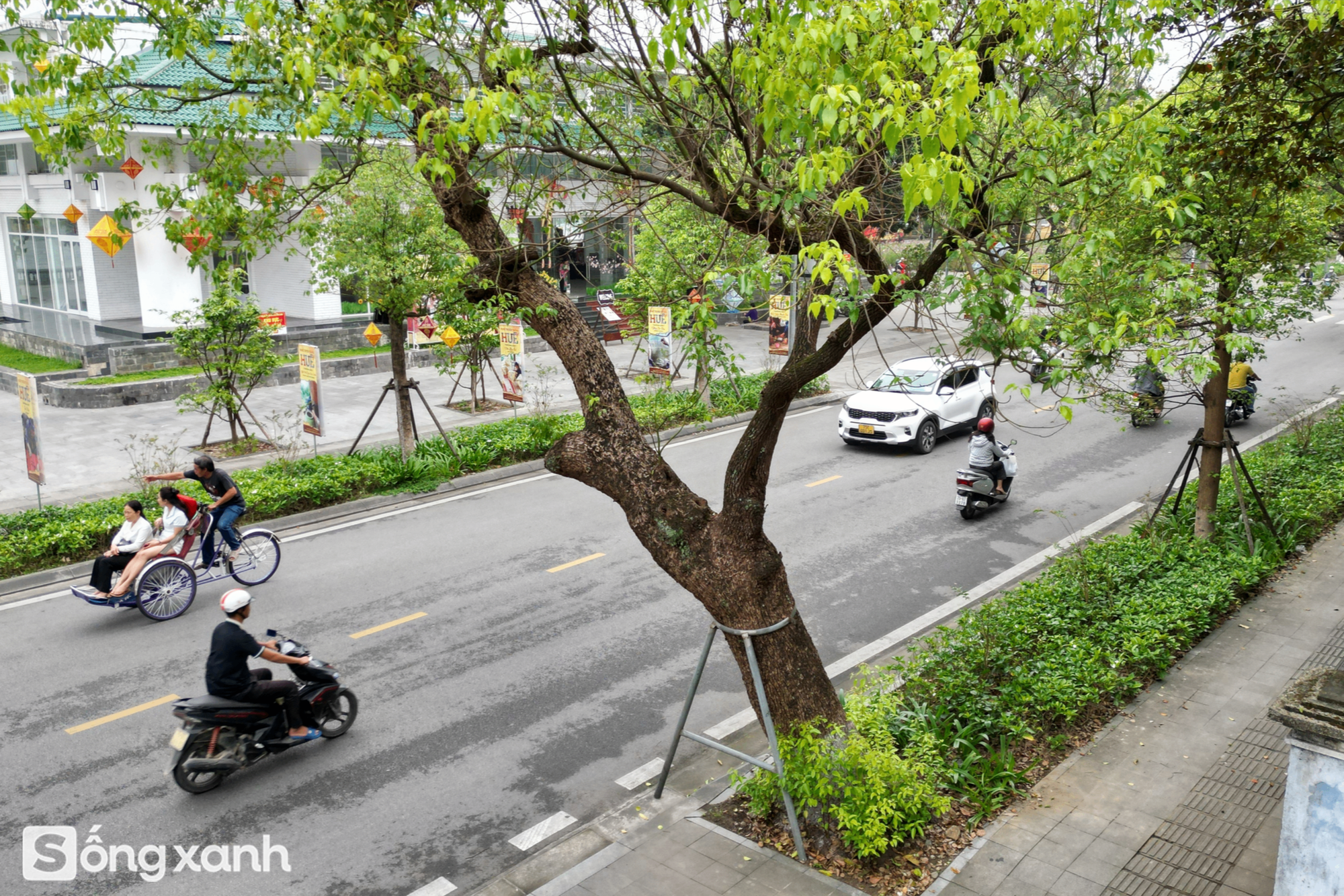 Ngắm TP xanh đầu tiên của Việt Nam được quốc tế vinh danh cùng Thâm Quyến và Singapore- Ảnh 22.