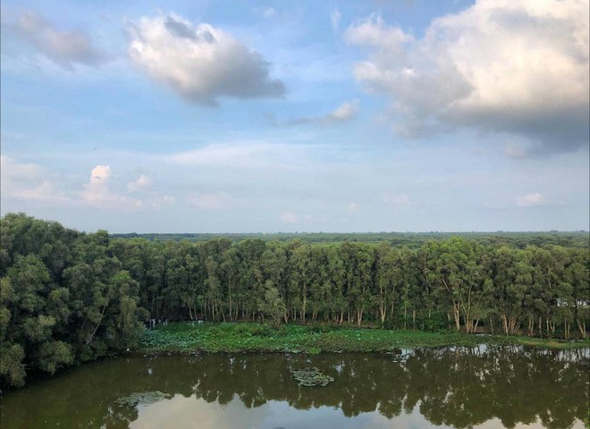 Vườn Quốc gia Tràm Chim - khu Ramsar thế giới của Việt Nam: Mộc mạc, hoang sơ nhưng ẩn chứa vô vàn vẻ đẹp kỳ vĩ- Ảnh 31.