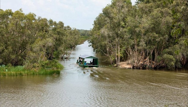 Vườn Quốc gia Tràm Chim - khu Ramsar thế giới của Việt Nam: Mộc mạc, hoang sơ nhưng ẩn chứa vô vàn vẻ đẹp kỳ vĩ- Ảnh 6.