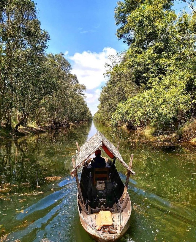 Vườn Quốc gia Tràm Chim - khu Ramsar thế giới của Việt Nam: Mộc mạc, hoang sơ nhưng ẩn chứa vô vàn vẻ đẹp kỳ vĩ- Ảnh 5.