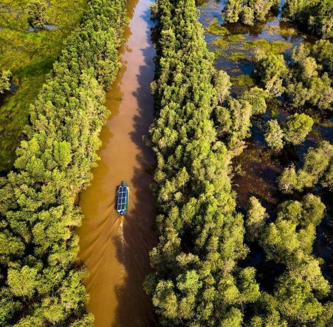 Vườn Quốc gia Tràm Chim - khu Ramsar thế giới của Việt Nam: Mộc mạc, hoang sơ nhưng ẩn chứa vô vàn vẻ đẹp kỳ vĩ- Ảnh 4.