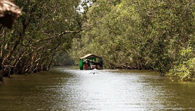 Vườn Quốc gia Tràm Chim - khu Ramsar thế giới của Việt Nam: Mộc mạc, hoang sơ nhưng ẩn chứa vô vàn vẻ đẹp kỳ vĩ- Ảnh 1.