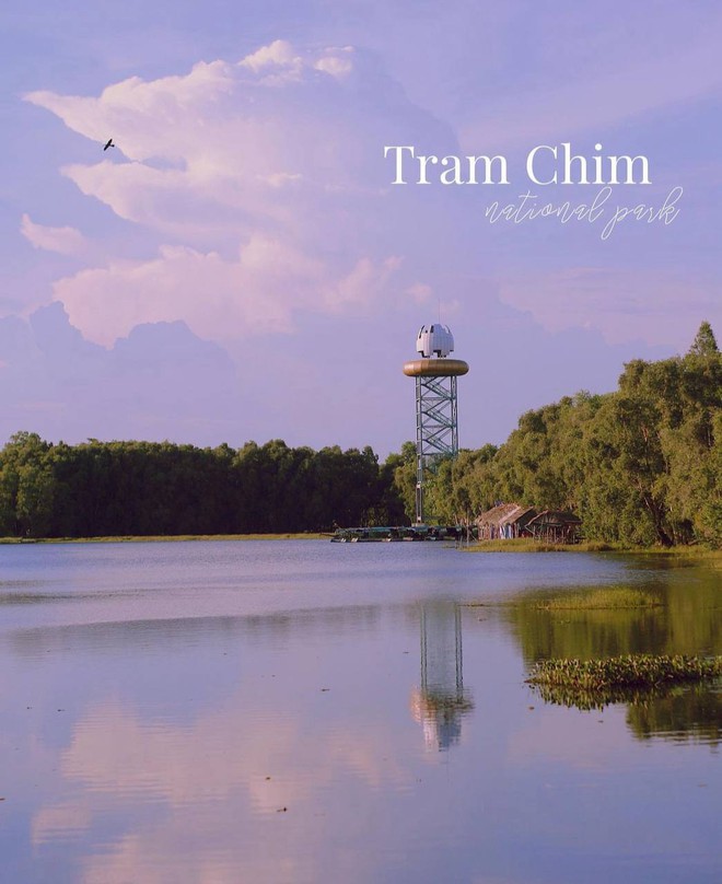 Vườn Quốc gia Tràm Chim - khu Ramsar thế giới của Việt Nam: Mộc mạc, hoang sơ nhưng ẩn chứa vô vàn vẻ đẹp kỳ vĩ- Ảnh 28.