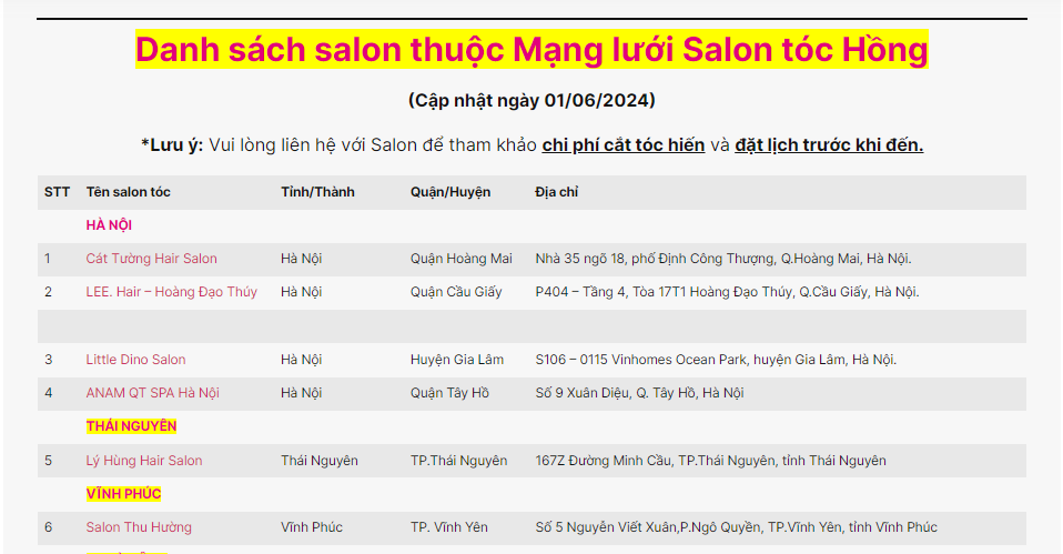 Mạng lưới ung thư vú Việt Nam đã dừng hợp tác với 1900 Hair Salon từ đầu năm 2023- Ảnh 2.