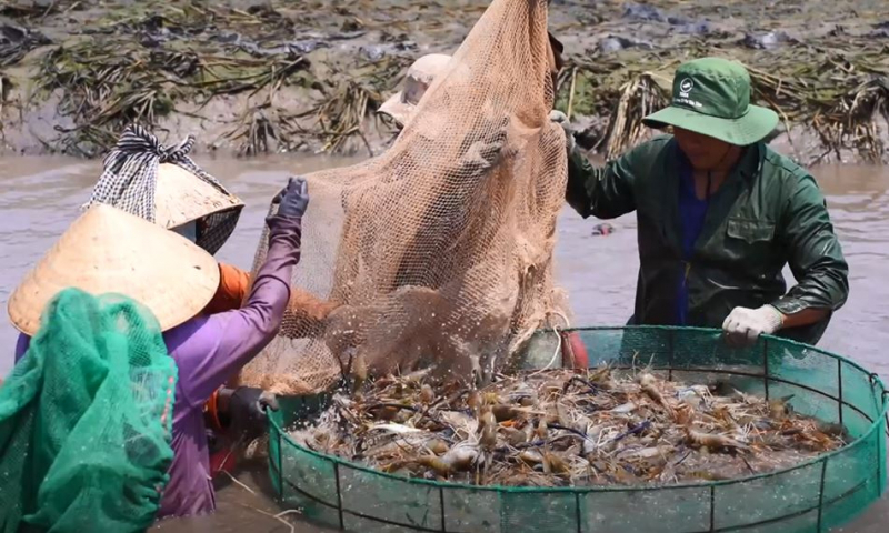 Dáng đứng Bến Tre giữa thời bình (Kỳ cuối)- Ảnh 3.