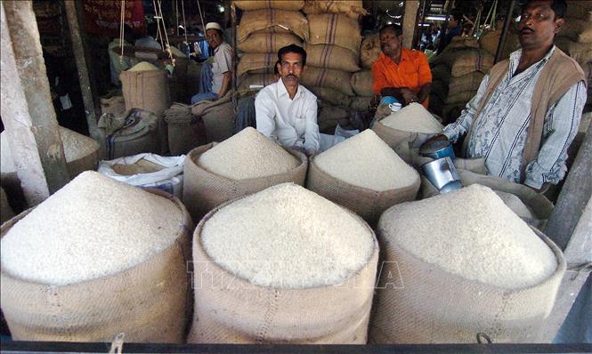 Nhu cầu của thị trường tác động mạnh tới giá gạo Ấn Độ và Thái Lan- Ảnh 1.