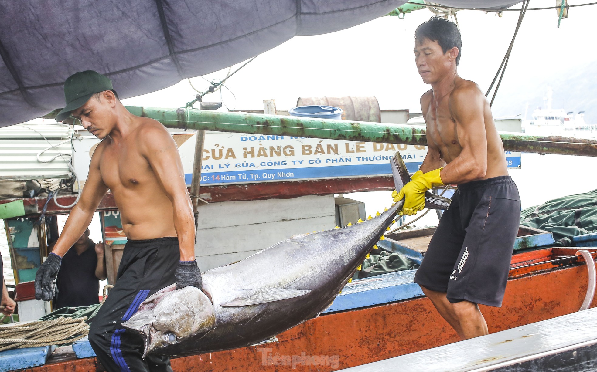 Xem ngư dân xuất bán cá ngừ 40-50 kg vừa đánh bắt từ Trường Sa- Ảnh 7.
