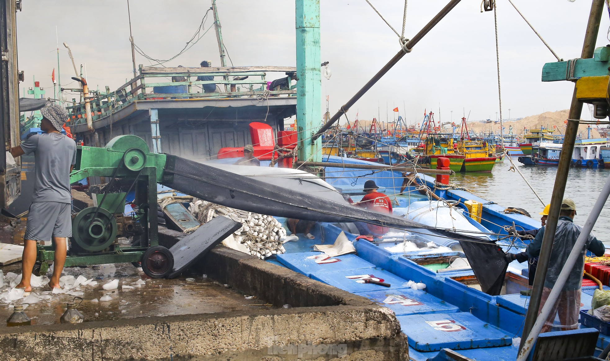 Xem ngư dân xuất bán cá ngừ 40-50 kg vừa đánh bắt từ Trường Sa- Ảnh 12.