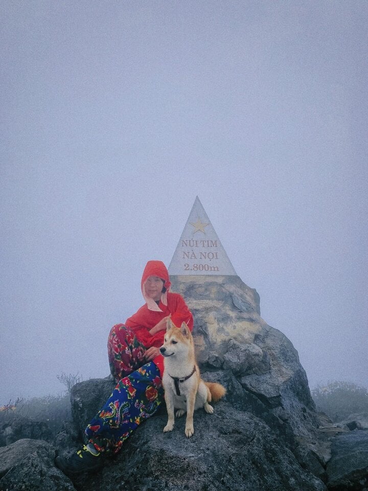 Chú chó thành 'idol mạng' nhờ chinh phục 7 ngọn núi khó trèo ở Việt Nam- Ảnh 8.