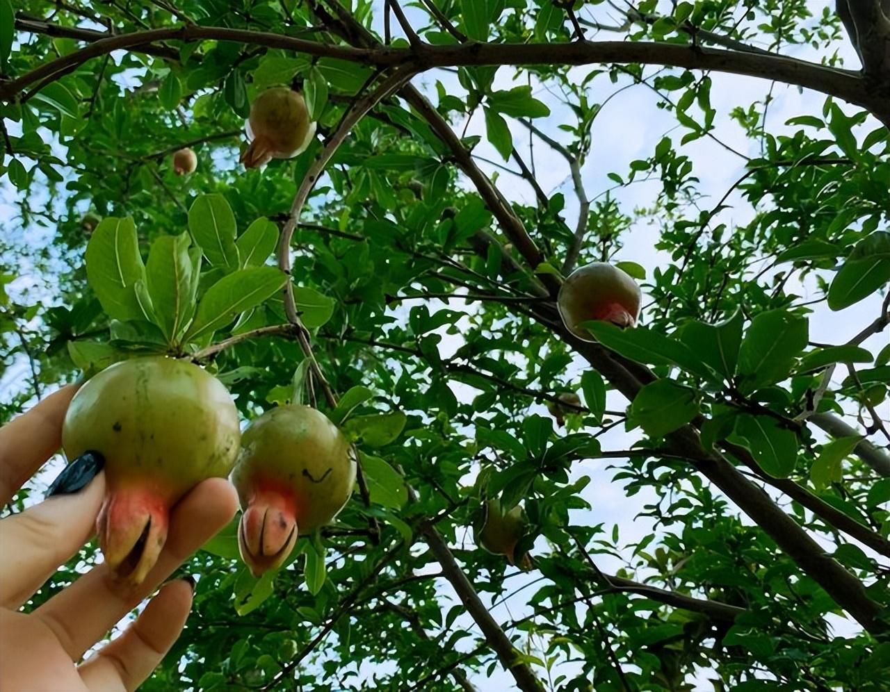 Vén màn cuộc sống của 