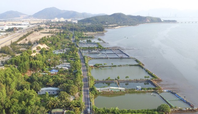 'Khai tử' dự án vui chơi giải trí gần 800 tỷ ở Bình Định- Ảnh 1.