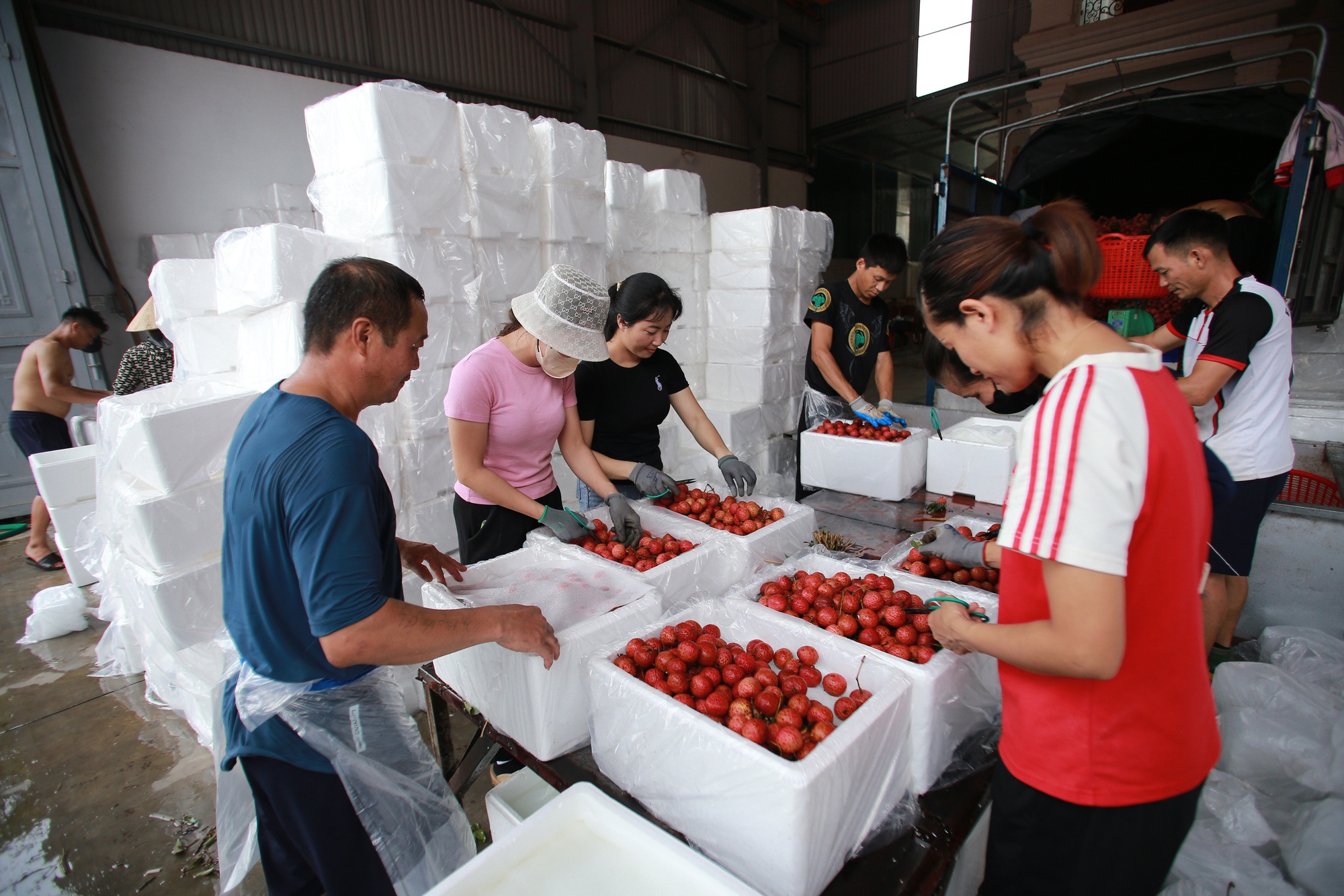 Bắc Giang: Người dân phấn khởi vì giá vải thiều cao chưa từng có, gần 100.000 đồng/kg- Ảnh 15.