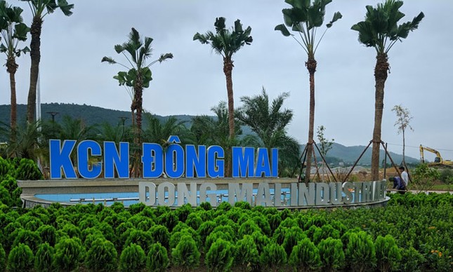 Nhiều công nhân ở Quảng Ninh nghi ngạt khí phải nhập viện cấp cứu- Ảnh 1.