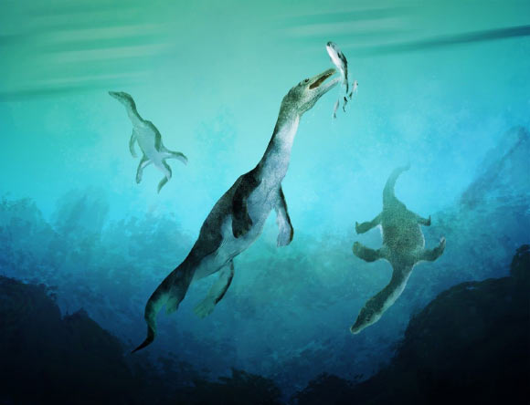 Thủy quái dài 7 m lộ diện sau 246 triệu năm tuyệt tích- Ảnh 1.