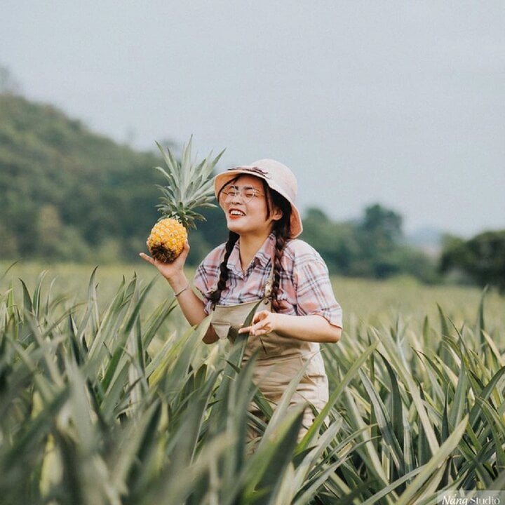 Check-in toạ độ đồi dứa Tam Điệp Ninh Bình- Ảnh 4.