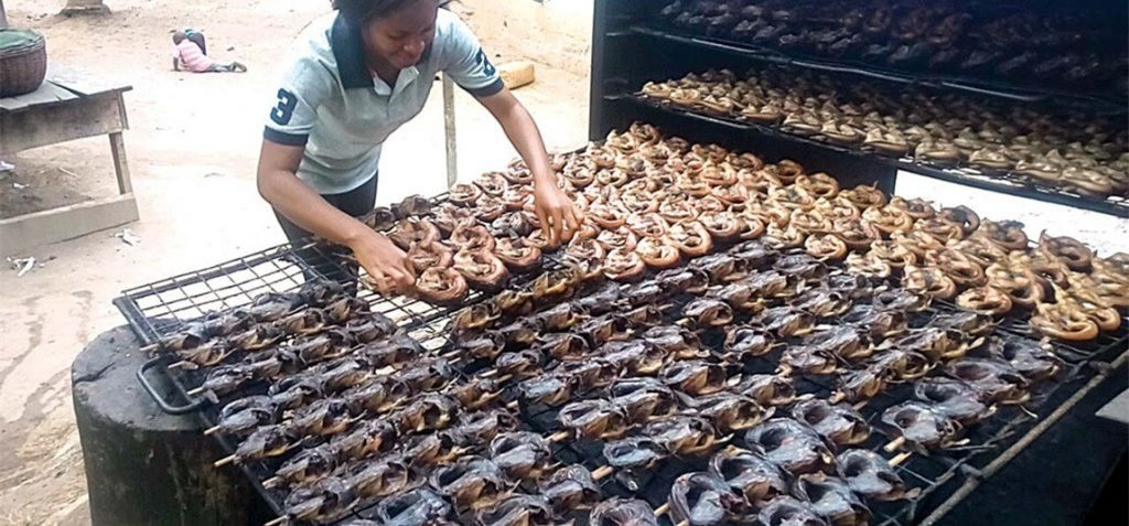 nigeria-smoked-catfish-making-process-1024x477-1719002841314-17190028416941509631796.jpg