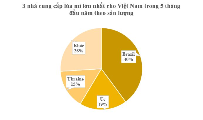 Ukraine gửi đến Việt Nam 'báu vật' thế giới đang lên cơn khát: Nhập khẩu tăng hơn 700%, Việt Nam gần như không trồng được- Ảnh 3.