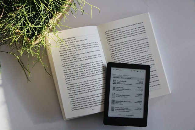 Cuộc chiến vương quyền sách giấy và ebook đã có kết quả: đây mới là chân ái của người dùng- Ảnh 2.