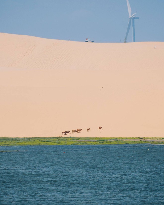 Điểm đến ngay miền Trung mà ngỡ ở nước ngoài: Vừa có hồ nước vừa có sa mạc cát, được ví như 