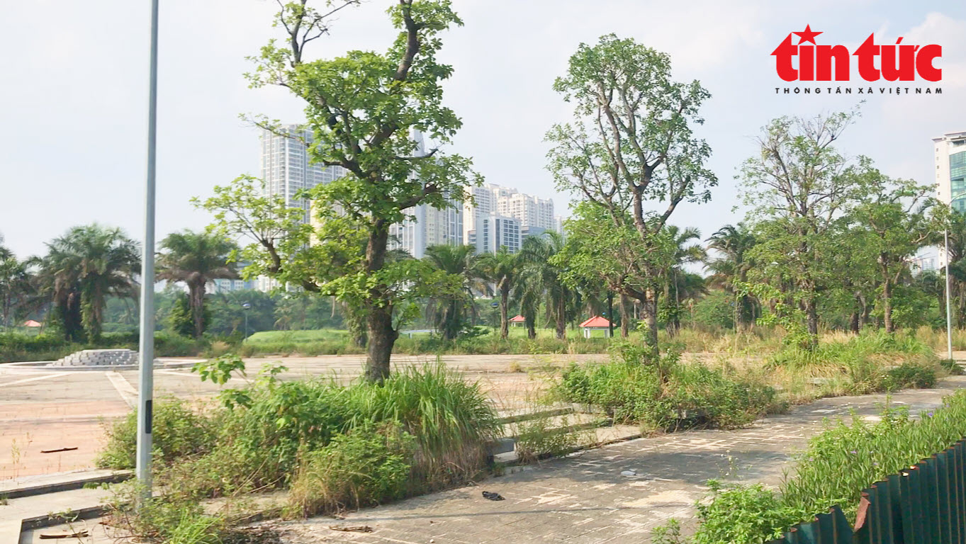 Công viên hồ điều hòa rộng gần 12 ha ở Hà Nội bị bỏ hoang- Ảnh 3.