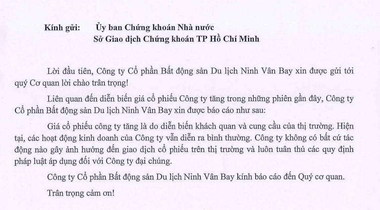 Ninh Vân Bay nói gì về việc cổ phiếu NVT tăng trần 5 phiên liên tiếp?- Ảnh 1.