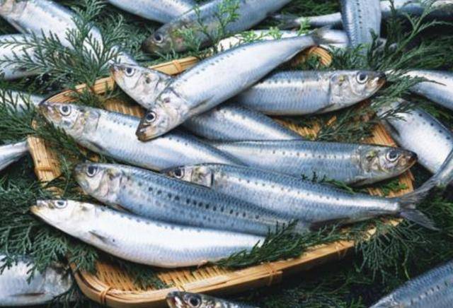 Khám phá kiểu ăn cá người Nhật yêu thích giúp giảm nguy cơ tử vong do mọi nguyên nhân một cách đáng kể- Ảnh 1.