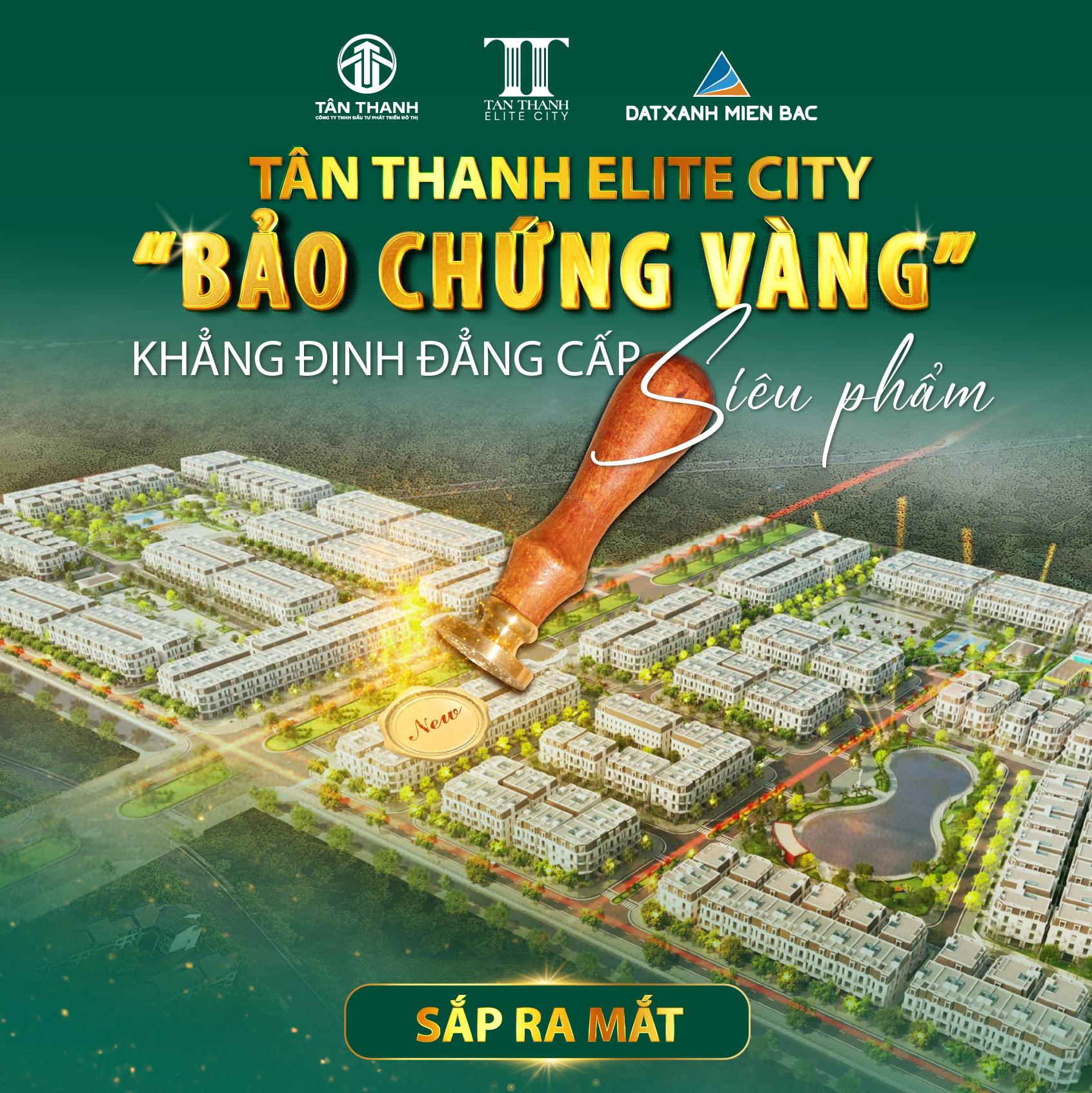 Sắp ra mắt khu đô thị Tân Thanh Elite City tại phía Nam Hà Nội- Ảnh 1.