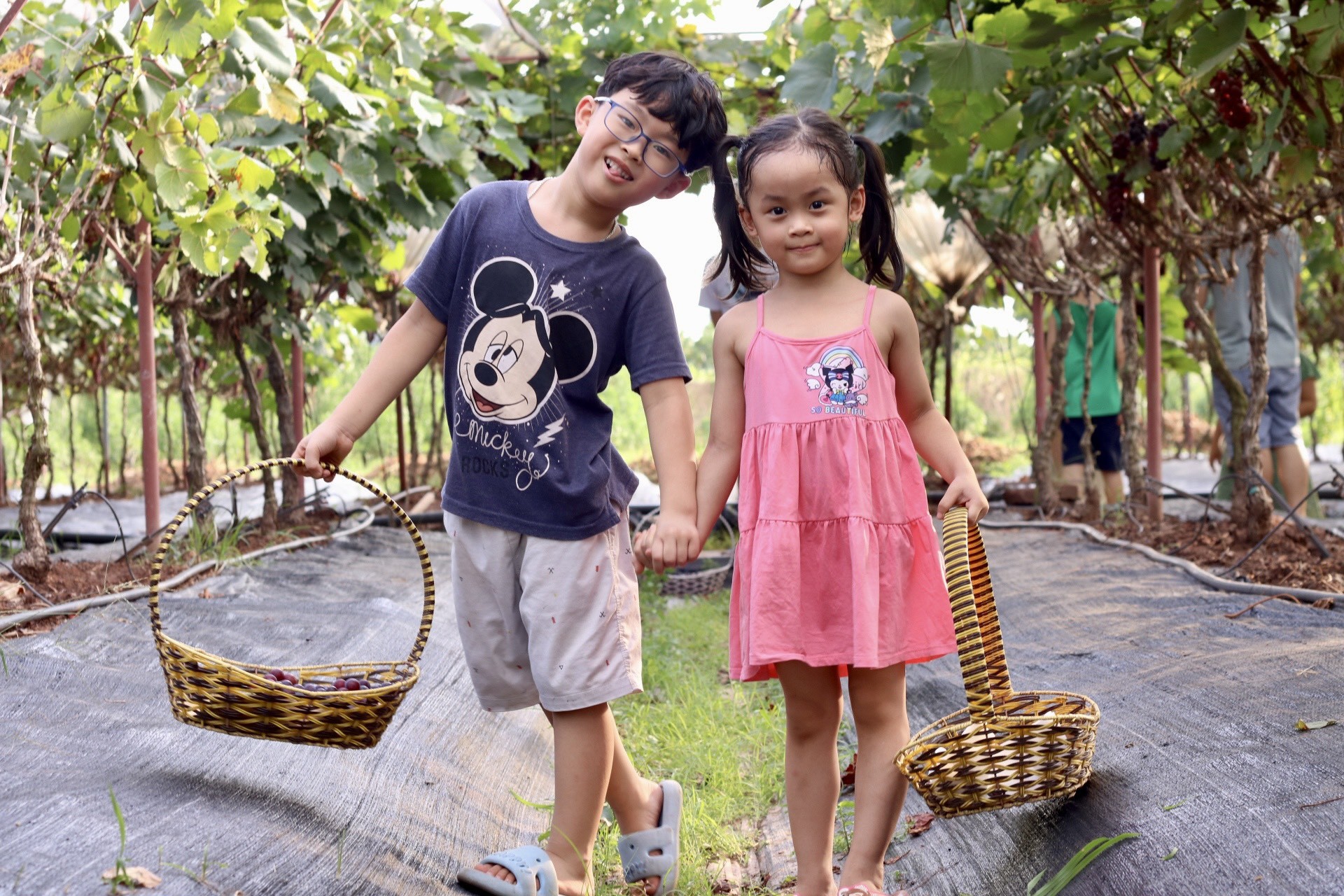 Giới trẻ rủ nhau check-in tại vườn nho trĩu quả chín mọng tại Hà Nội- Ảnh 15.
