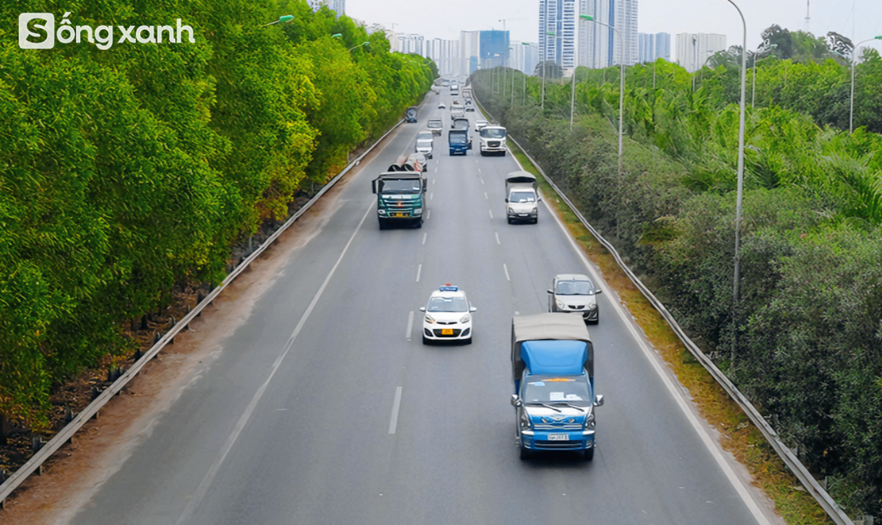 Ngắm 'cánh rừng' xanh bạt ngàn trên Đại lộ 7.500 tỷ đồng rộng tới 16 làn xe, dài và đẹp bậc nhất Việt Nam- Ảnh 8.