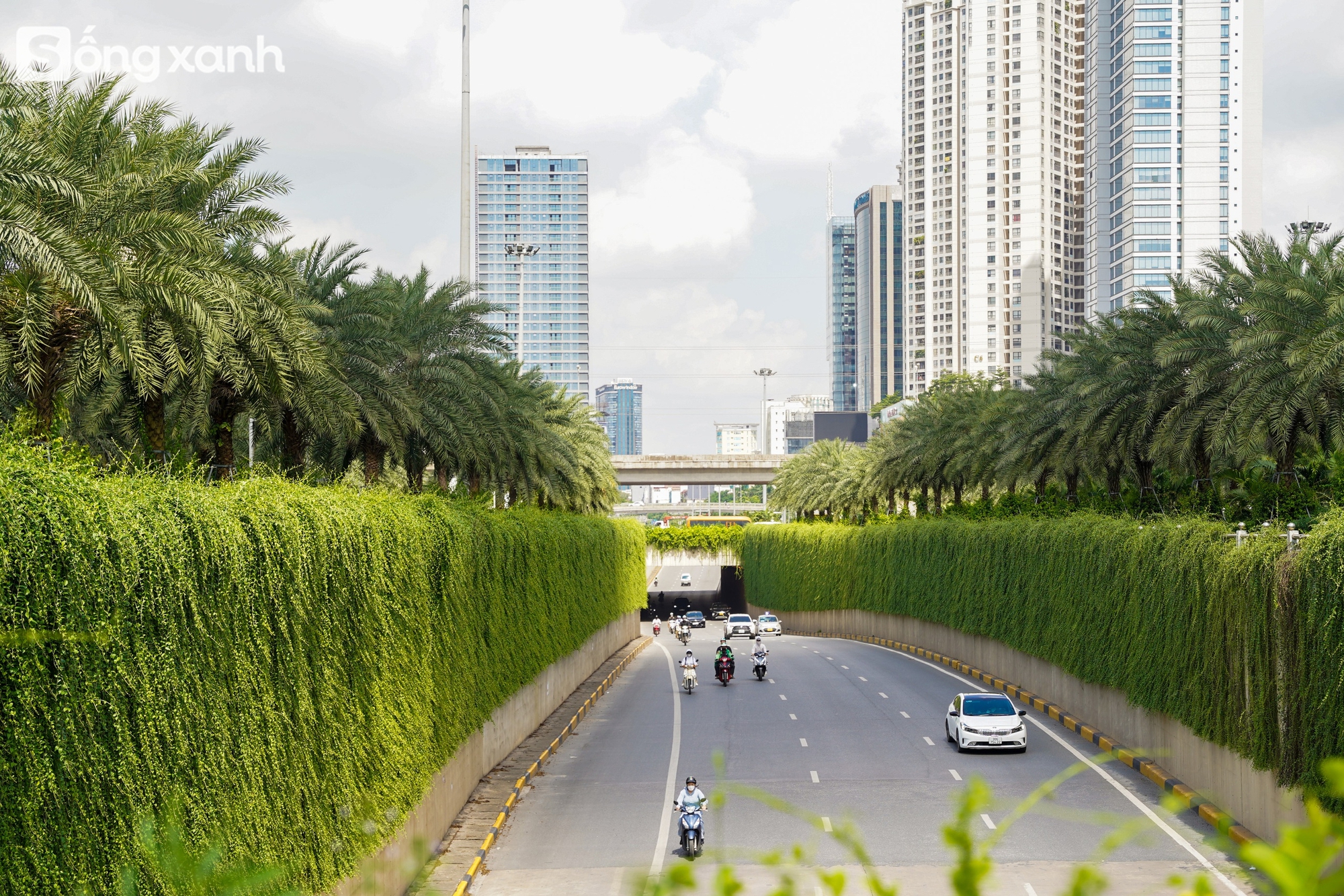 Ngắm 'cánh rừng' xanh bạt ngàn trên Đại lộ 7.500 tỷ đồng rộng tới 16 làn xe, dài và đẹp bậc nhất Việt Nam- Ảnh 2.