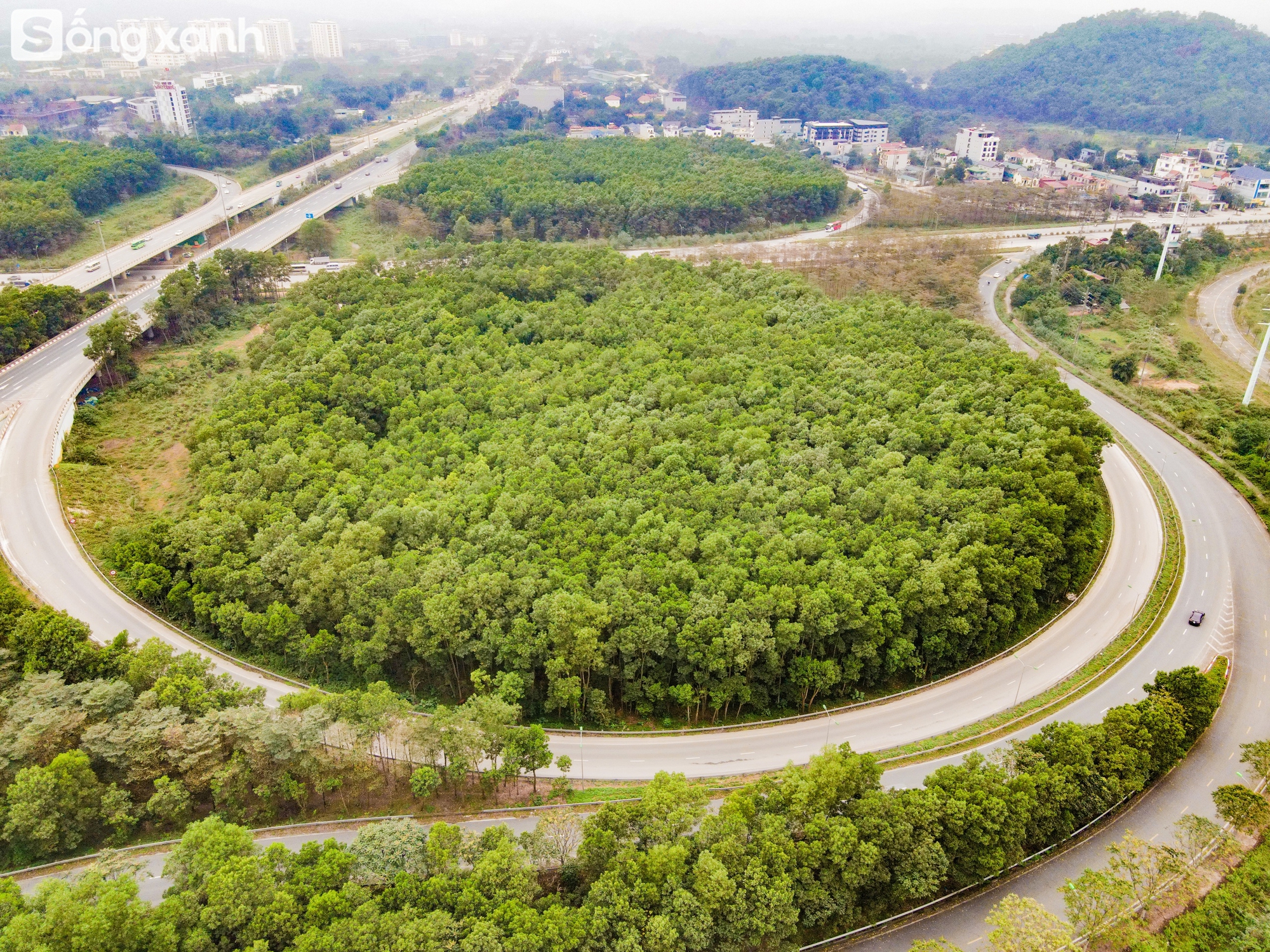Ngắm 'cánh rừng' xanh bạt ngàn trên Đại lộ 7.500 tỷ đồng rộng tới 16 làn xe, dài và đẹp bậc nhất Việt Nam- Ảnh 13.