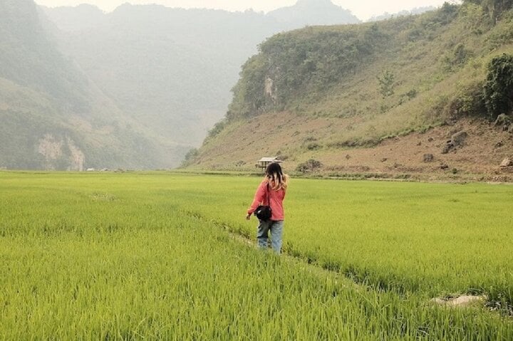 Khám phá vẻ đẹp hoang sơ trên cao nguyên đá Tủa Chùa- Ảnh 5.