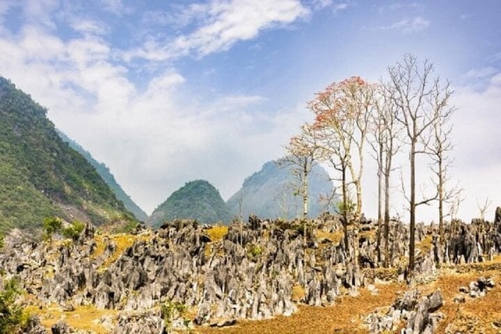 Khám phá vẻ đẹp hoang sơ trên cao nguyên đá Tủa Chùa- Ảnh 1.