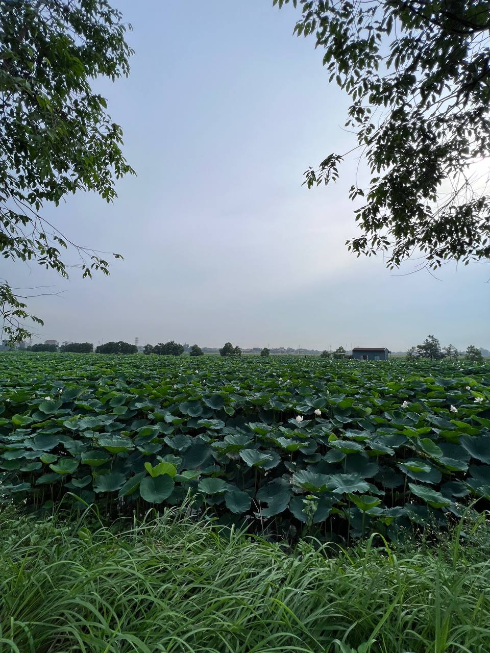 Nữ bác sĩ mỗi ngày vượt quãng đường 2 chiều 140 km từ Hải Dương lên Hà Nội để đi làm: 