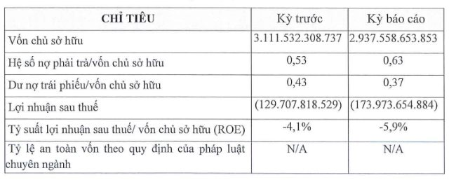 Một công ty con của Novaland lại lỡ hẹn thanh toán lãi trái phiếu- Ảnh 2.