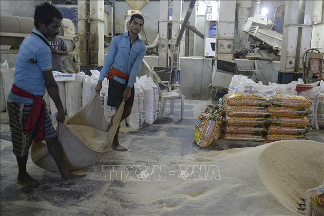 Giá gạo Ấn Độ giảm vì phí vận chuyển tăng vọt- Ảnh 1.