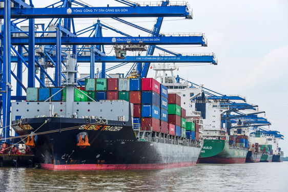 Tàu cập cảng Cát Lát (TP HCM) để lên xuống hàng xuất nhập khẩu Ảnh: HOÀNG TRIỀU
