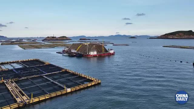 Trung Quốc ra mắt tổ hợp năng lượng tái tạo kết hợp trang trại nuôi cá- Ảnh 1.