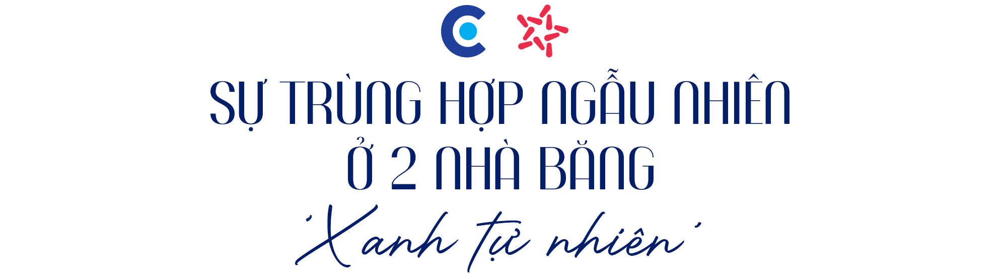 Điều đặc biệt ít người biết ở 2 ngân hàng ‘xanh tự nhiên’ tại Việt Nam- Ảnh 16. Điều đặc biệt ít người biết ở 2 ngân hàng ‘xanh tự nhiên’ tại Việt Nam- Ảnh 16.