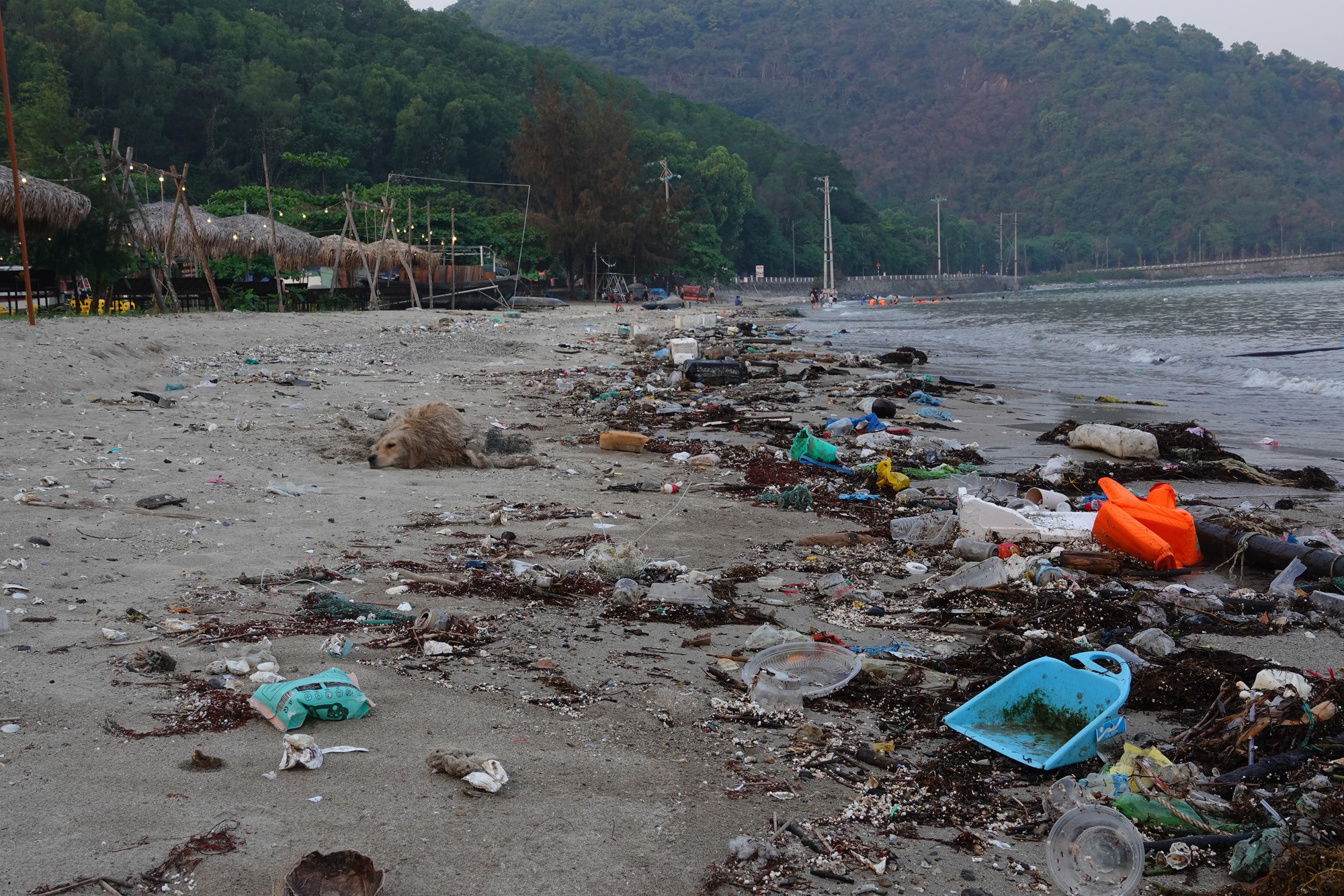 Bãi tắm ở Cát Bà tràn ngập rác thải, du khách nước ngoài nói 