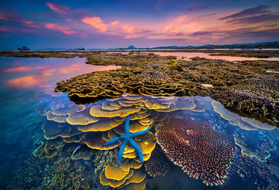 Hòn đảo ở Phú Yên được công nhận danh thắng quốc gia, cách đất liền chỉ 400m, thấy san hô ngay trên cạn