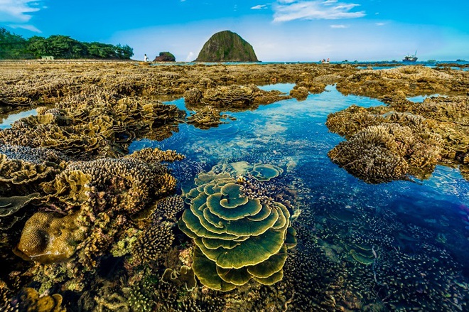 Hòn đảo ở Phú Yên được công nhận danh thắng quốc gia, cách đất liền chỉ 400m, thấy san hô ngay trên cạn- Ảnh 8.