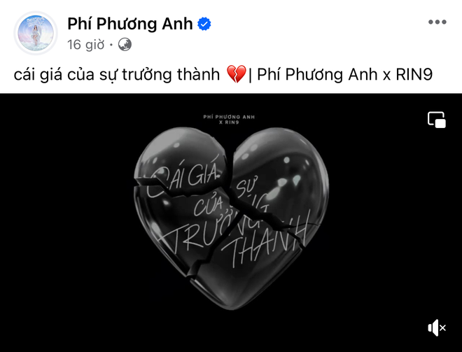 Phí Phương Anh và đại gia hơn 22 tuổi đã chia tay?- Ảnh 3.