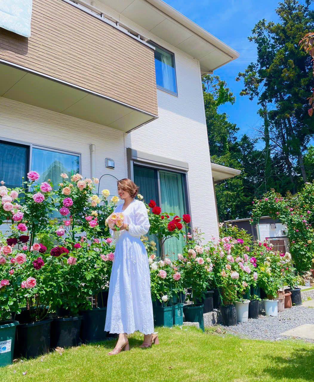 Ngôi nhà lúc nào cũng thơm nức mùi hoa vì có vườn hồng hơn 80 loại của mẹ Việt ở Nhật- Ảnh 22.