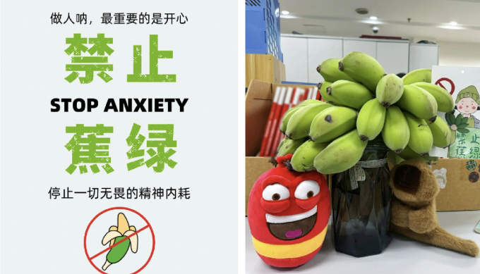 Giới trẻ bỗng dưng cuồng trend cắm buồng chuối ở văn phòng để ‘chữa lành’, shop trên Taobao bán 20.000 nải vẫn không đủ: Chỉ cần ăn 1 quả là vơi đi nỗi buồn- Ảnh 2.