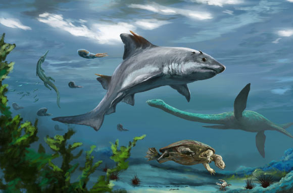 Nhật Bản: Phát hiện loài thủy quái 237 triệu tuổi- Ảnh 1.