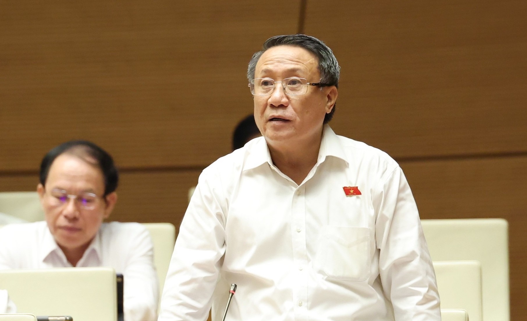 Đại biểu đồng thuận thí điểm thành lập Khu thương mại tự do Đà Nẵng- Ảnh 2.