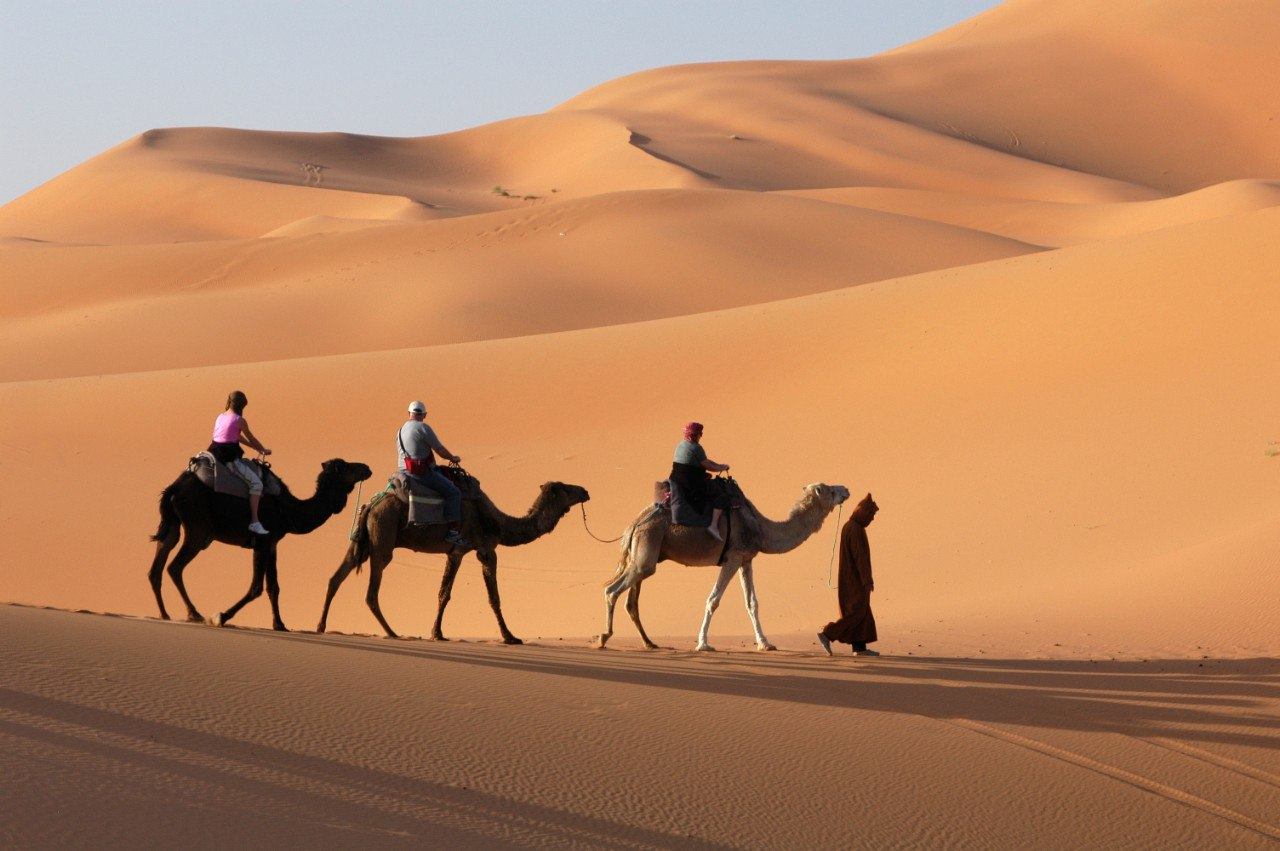 Bí ẩn tiếng vo ve kỳ lạ thường thấy ở sa mạc, chuyên gia mất hàng thế kỷ tìm lời giải- Ảnh 3.